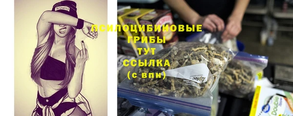 синтетический гашиш Туринск