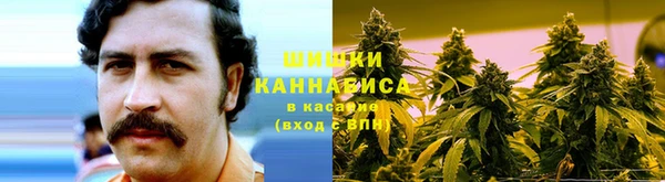 ПСИЛОЦИБИНОВЫЕ ГРИБЫ Беломорск