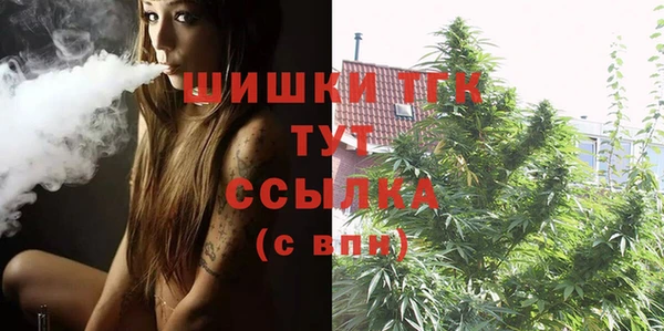 mix Белокуриха